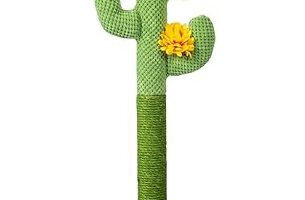 rascador cactus