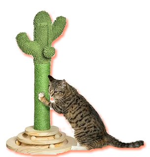 rascador pawhut cactus