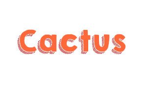 rascadores cactus