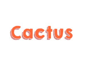 rascadores cactus