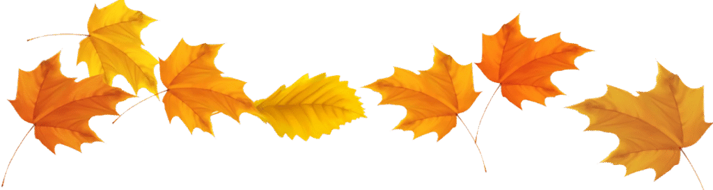 header hojas otoño